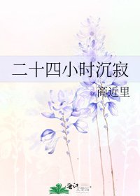 《二十四小時沉寂》